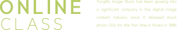 text